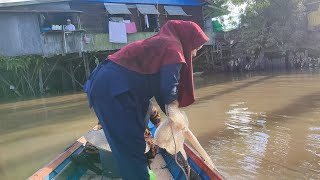 Jamuddin ragam Channel sedang live sekarang emakemak jago menjala menjaladisungaimahakam [upl. by Anoiek]