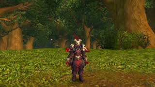 Forged Gladiators Chain Armor WoW TWW Season 1 Hunter PVP [upl. by Saville123]