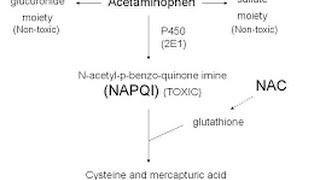 Acetaminophen Toxicity  Poisoning [upl. by Anawad]