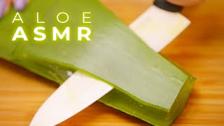 ASMR Best Aloe Sounds for Sleep Tingles and Relaxation No Talking [upl. by Matty]