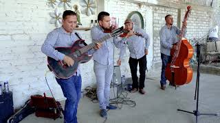 Tocando en Lombardia Michoacan  Los Potrillos De Turicato [upl. by Herrle]