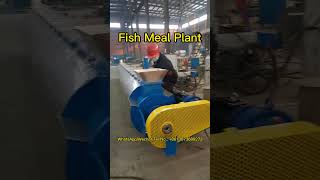 Watch Our Fish Meal Plant Testing Video for Efficient and Reliable Production fishmeal animalfeed [upl. by Dnumsed]