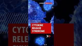 The Science behind Cytokine Release Syndrome crs [upl. by Gillman]