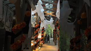 Capilano Bridge Halloween [upl. by Danica]