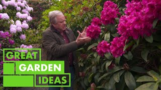 How to GROW Rhododendrons  GARDEN  Great Home Ideas [upl. by Nas297]