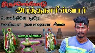 திருச்செங்கோடு அர்த்தநாரீஸ்வரர்🛕வெள்ளை நவபாஷாண சிலை🛕Thiruchengode Arthanareeswarar Kovil🛕Travel [upl. by Mora]