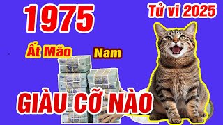 🔴TỬ VI 2025 Tử vi tuổi ẤT MÃO 1975 Nam mạng năm 2025 LỘC THẦN TÀI Vận Số GIÀU SANG Cực GIÀU [upl. by Gaidano]