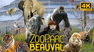 Zoo Parc De Beauval  France 🇫🇷May 2022  4K  HDR 60fps Walking Tour Part 1  A Walk In Paris [upl. by Enorel645]