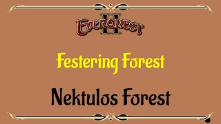 Lets Play  Everquest  EQ 2  Nektulos Forest  Festering Forest [upl. by Neeli634]