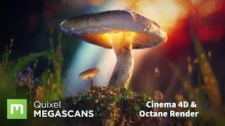 How to create scenes using Megascans with Octane and Cinema 4D [upl. by Cissy]