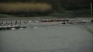 Coxing a Tideway Head  Rowing [upl. by Cole]