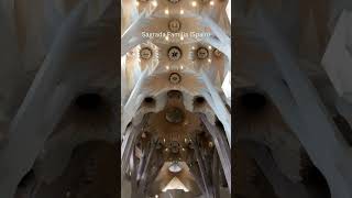 Sagrada Familia Spain travel [upl. by Sabba]