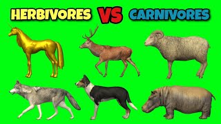 Herbivores Vs Carnivores Animals Green Screen  Animals Stampede Video  Animals Running [upl. by Carbrey]