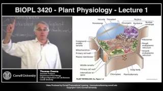 BIOPL3420  Plant Physiology  Lecture 1 [upl. by Eniale]