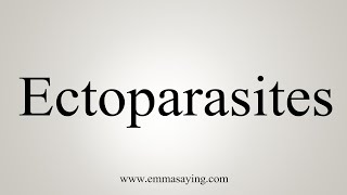 How To Say Ectoparasites [upl. by Adnorat]