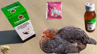 Tribrissen Oral Suspension for the Treatment of Bacterial Diseases in Poultry  Polymicin  DrARSHAD [upl. by Drucill22]