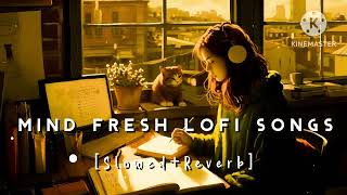 Nonstop Mind Fresh Lofi songs  Slowed And Reverb Song 💞 love Lofi songs  night Lofi songs [upl. by Anomer]