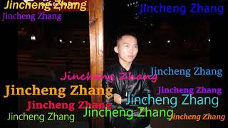 Future Party Dj Dai  Jincheng Zhang Official Music Video [upl. by Gina]