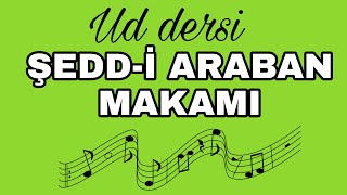 UD DERSİ 80  ŞEDDİ ARABAN MAKAMI ŞEDARABAN MAKAMI [upl. by Zsa Zsa602]