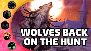 🔴🟢This is a Game Changer For Werewolves  MTG Arena Ixalan Standard Aggro Deck List [upl. by Hillell]