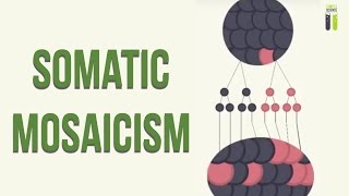 Mosaicisms  Part 2  Somatic Mosaicism [upl. by Itnava]