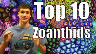 Top 10 Zoanthids and Palythoas for Reef Tanks [upl. by Scheld]