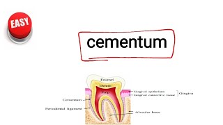 cementum [upl. by Gershon190]