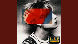 LIE Prod ZICO [upl. by Ansev735]