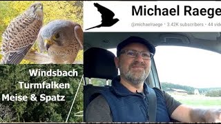 Windsbach Turmfalken Meise amp Spatz  Kanal Trailer 2024 [upl. by Inattirb813]