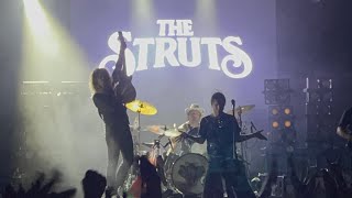 Put Your Money On Me  The Struts live HDR  The Beacham [upl. by Reg981]