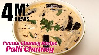 Palli Chutney  Peanut Chutney Recipe  How to make Chutney  Hyderabadi Ruchulu [upl. by Iclek710]