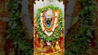 maa brahmani jai Mata di  bhakti  bhajansong balliavideoshortvideo 🙏🙏❤🌹🌹🥀❣🥀🌹🌹🌿🌿🌿🌿❣🙏🙏🙏🙏 [upl. by Zinck]