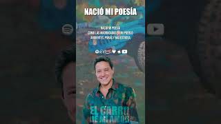 NACIÓ MI POESIA  FERNANDO DANGOND Vallenato MusicaVallenata ElCarroDeMiAmor [upl. by Suoiradal751]