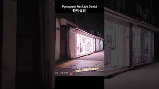 쌈리 평택 pyeongtaek RedLightDistrict 홍등가 집창촌 红灯区 あかせんちたい korea [upl. by Idnic159]