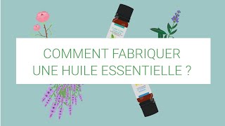 Comment fabriquer une huile essentielle [upl. by Yenobe]