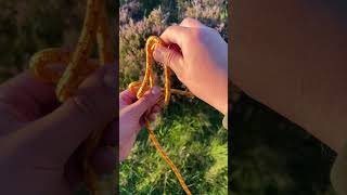 How to Tie a QUICK RELEASE PERFECTION LOOP 🪢 USEFUL KNOT 🪢 shorts [upl. by Winterbottom]