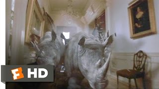 Jumanji 48 Movie CLIP  Stampede 1995 HD [upl. by Sigfrid]