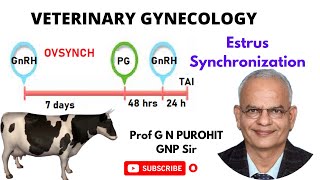 Unlocking the Secrets of Animal Breeding The Technology Behind Estrus Synchronization [upl. by Zalucki226]