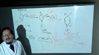 COENZIMAS Vitaminas Hidrosolubles clase 5  Dr José M Carreón [upl. by Herzen358]