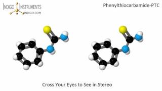 PTC taste test chemical structure [upl. by Trahern626]