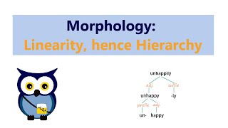 Morphology Linearity hence Hierarchy [upl. by Selia]