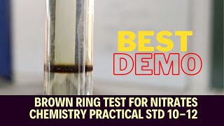 BEST DEMO  NITRATE IONS NO3 DETECTION  BROWN RING TEST  H2SO4  CHEMISTRY STD 1012 [upl. by Babita]