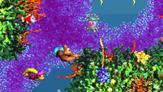 Donkey Kong Country 3 GBA Fish Food Frenzy 1080 HD [upl. by Georglana134]