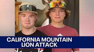 Brothers identified in California mountain lion attack [upl. by Ardnekan189]