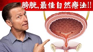 膀胱尿道炎、腎結石、頻尿的最佳自然療法柏格醫生 Dr Berg [upl. by Dona]