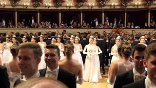 Wiener Opernball 2019 Balleröffnung der Debütanten [upl. by Tamis]