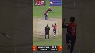 Best catches of Season 8 I Abu Dhabi T10 [upl. by Adnawak]