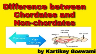 Difference between chordates and non chordates [upl. by Ailak727]