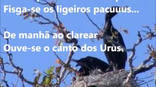 Parodia Sobre o Pantanal [upl. by Attelrahs]