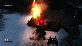 Sekiro  Blazing Bull NG AP 1 Parry Focused with Charm [upl. by Gilbertson]